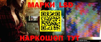дмт Новозыбков