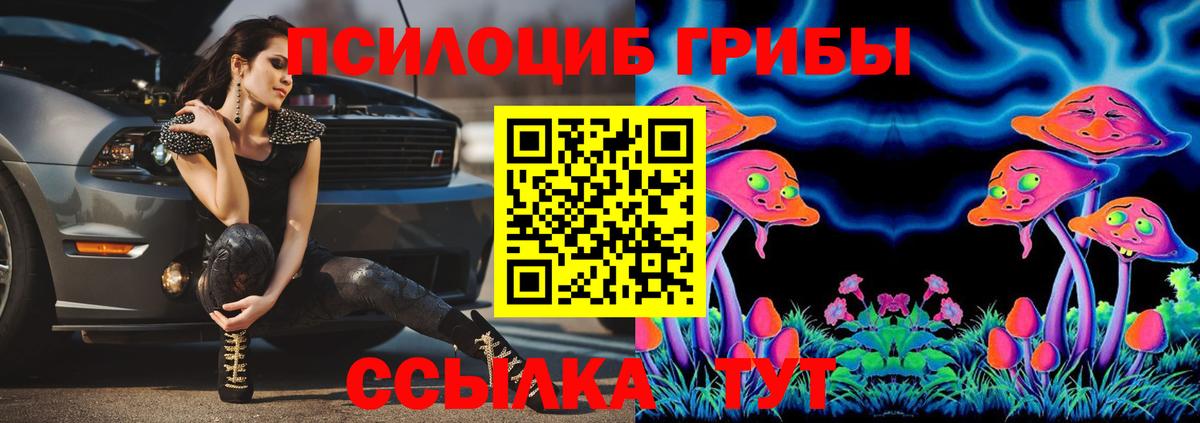 Галлюциногенные грибы мухоморы Старая Купавна