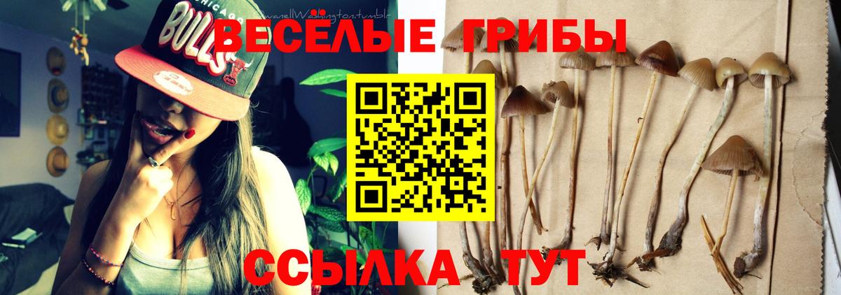 Псилоцибиновые грибы мухоморы  Галлюциногенные грибы GOLDEN TEACHER  Старая Купавна  Вход с VPN 
